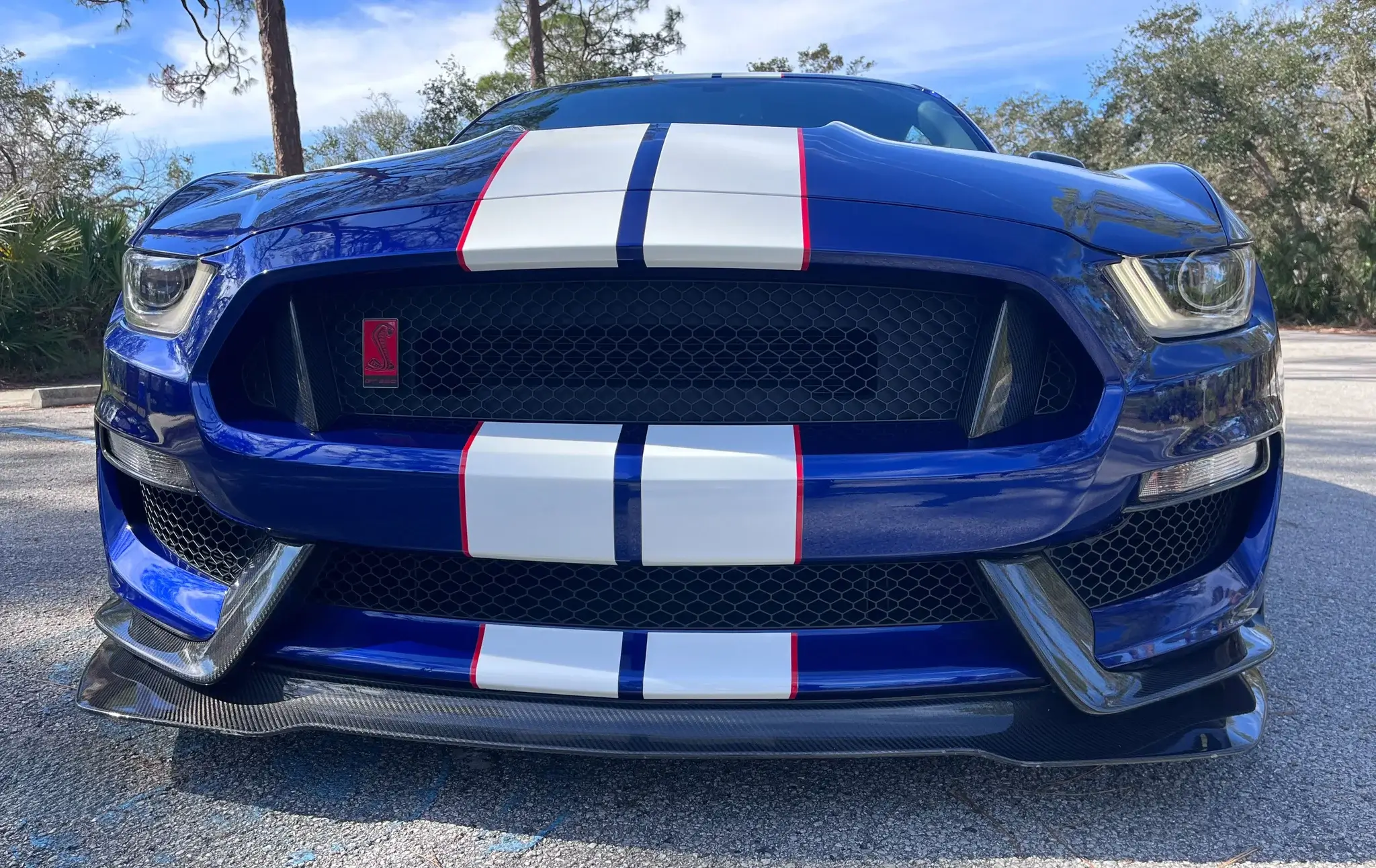2016 Ford Mustang Shelby GT350R - Image 35