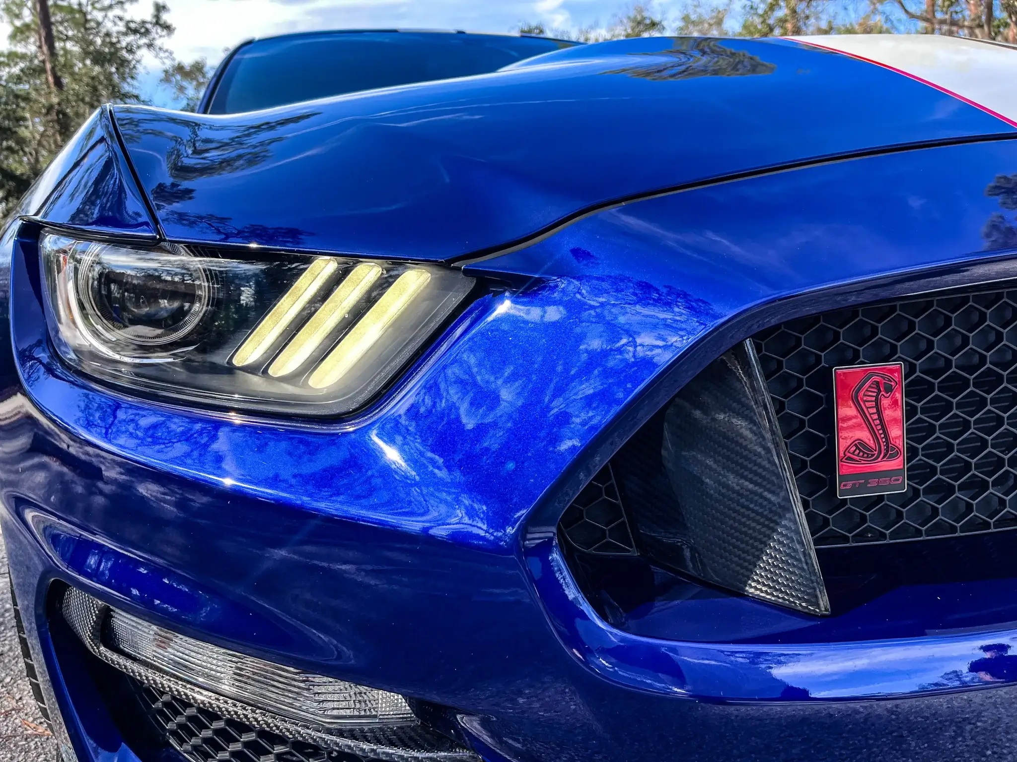 2016 Ford Mustang Shelby GT350R - Image 37