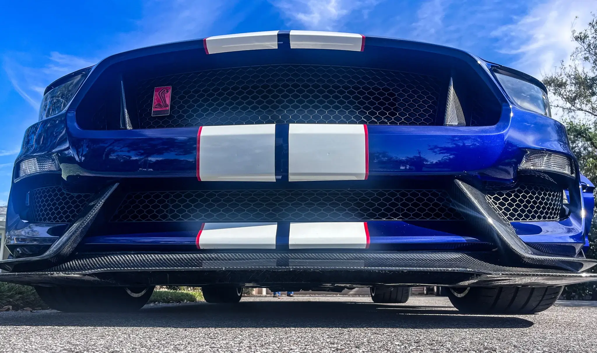 2016 Ford Mustang Shelby GT350R - Image 39