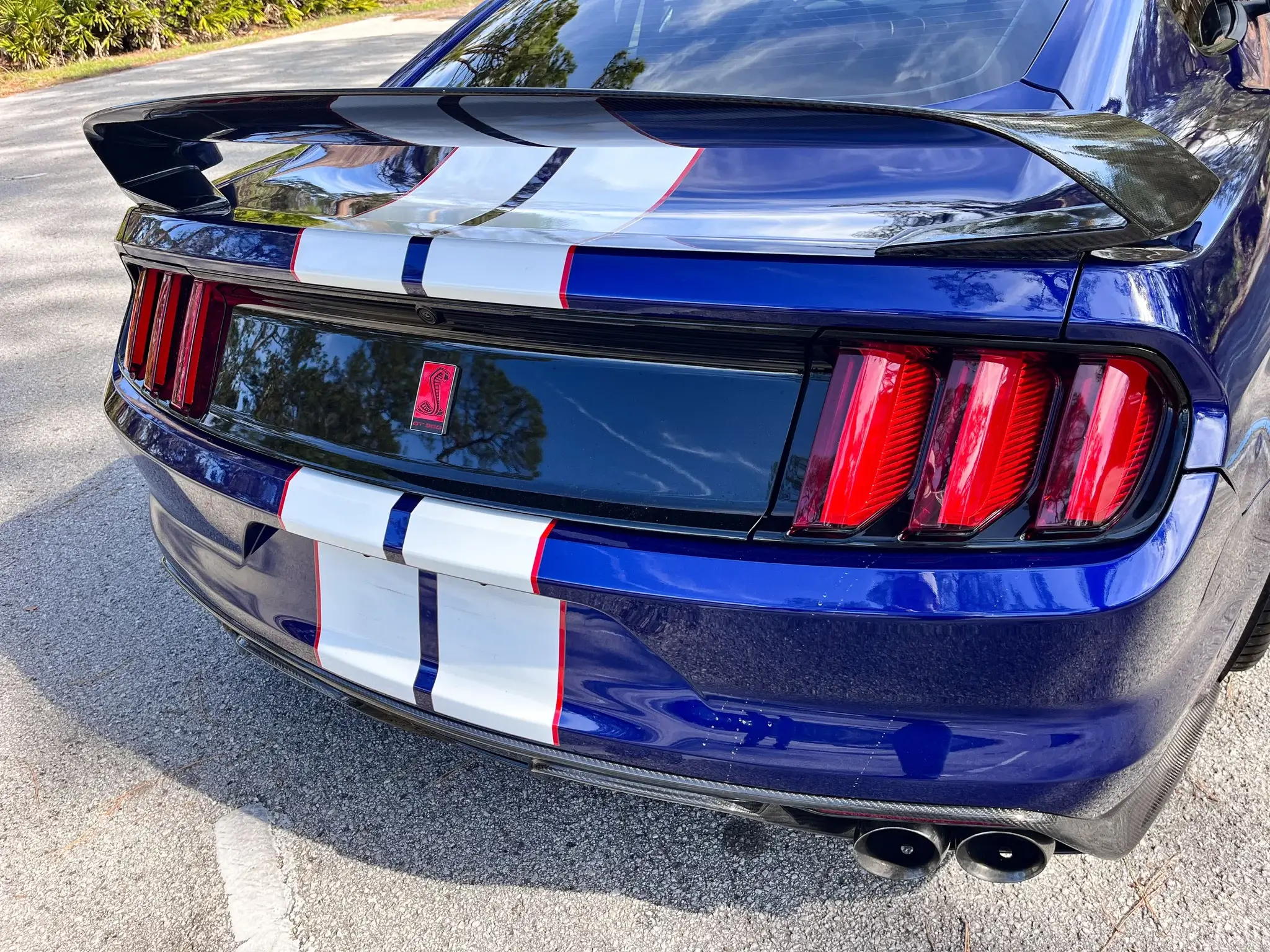 2016 Ford Mustang Shelby GT350R - Image 40
