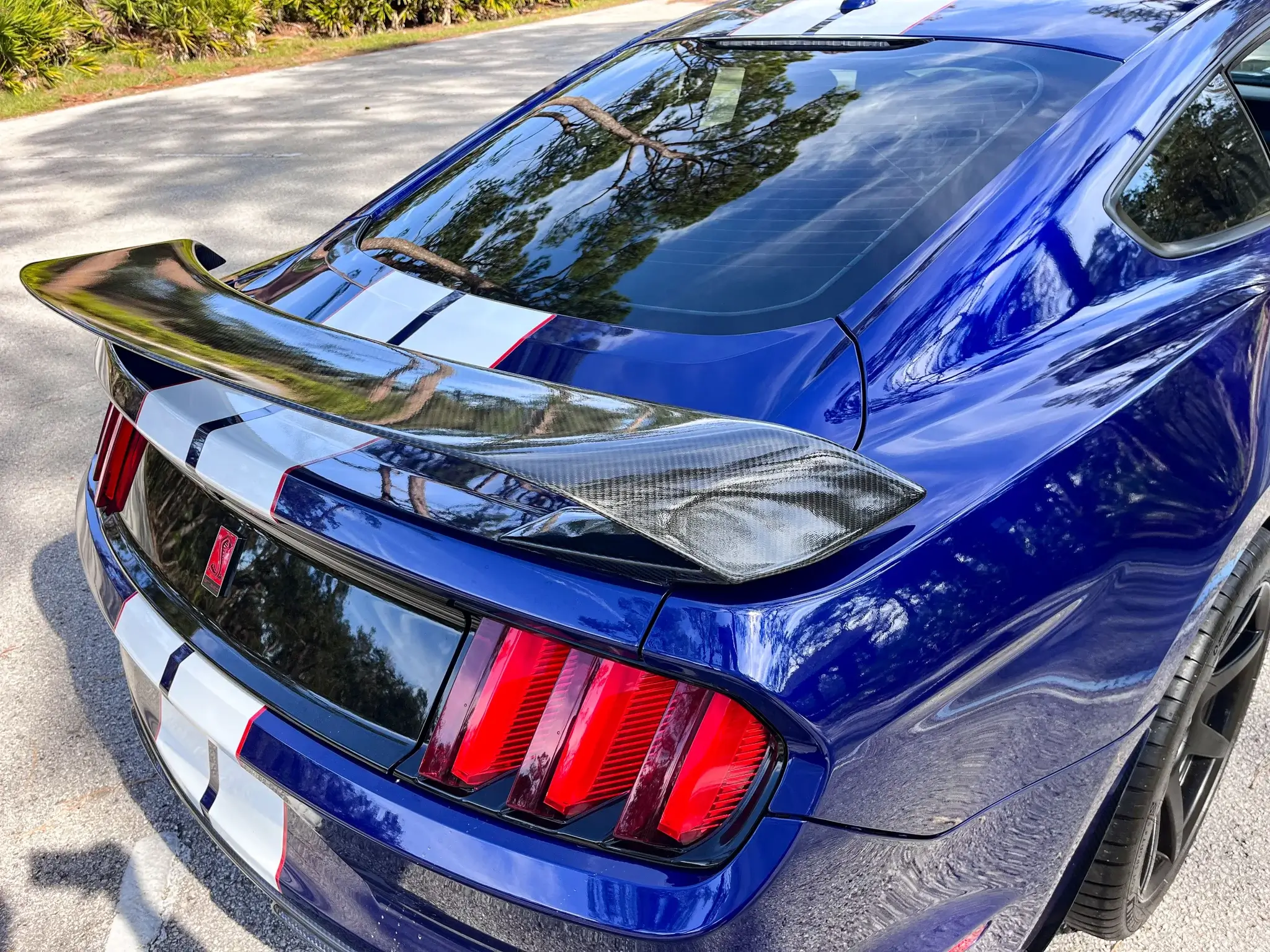2016 Ford Mustang Shelby GT350R - Image 41