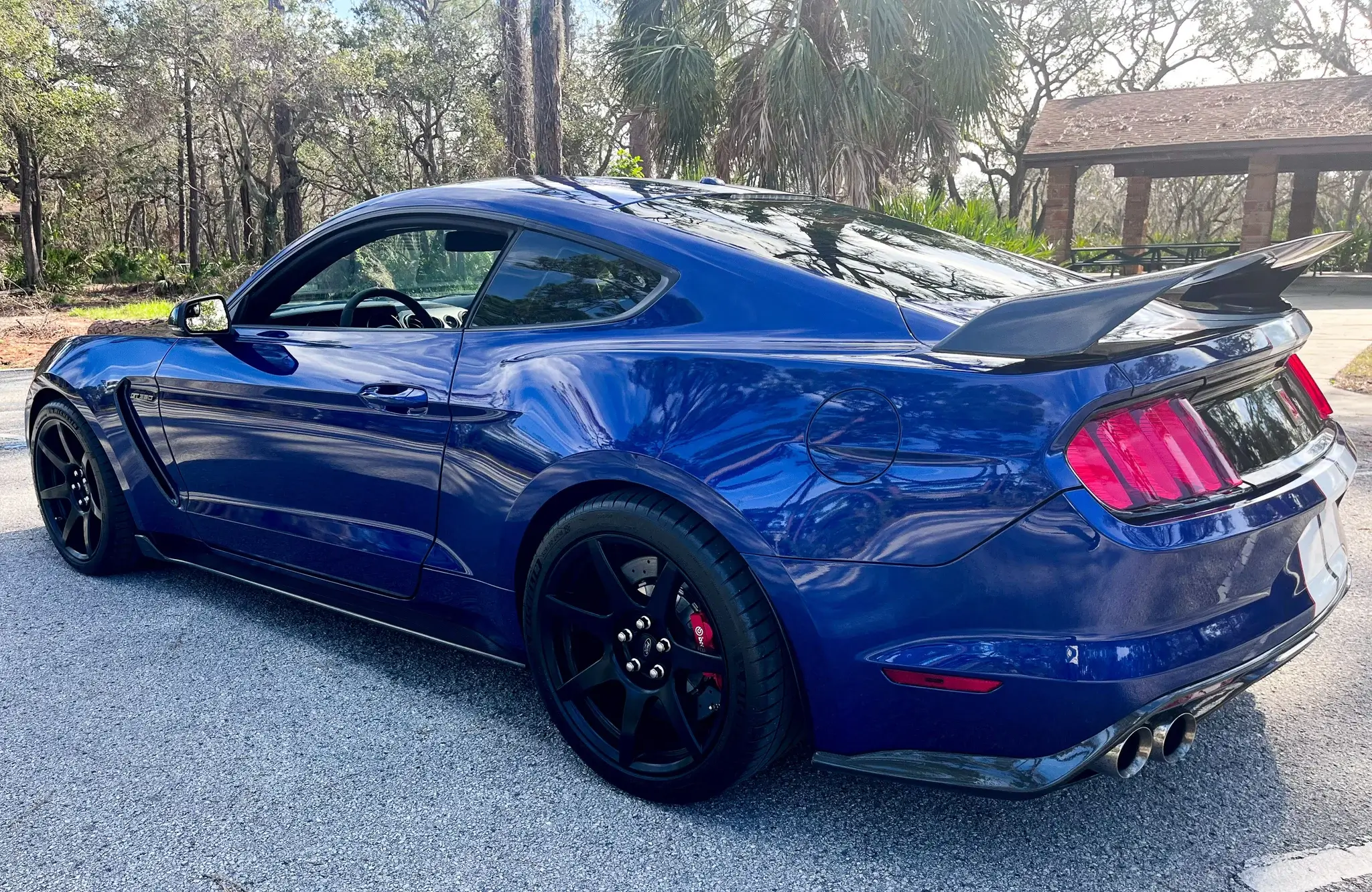 2016 Ford Mustang Shelby GT350R - Image 28