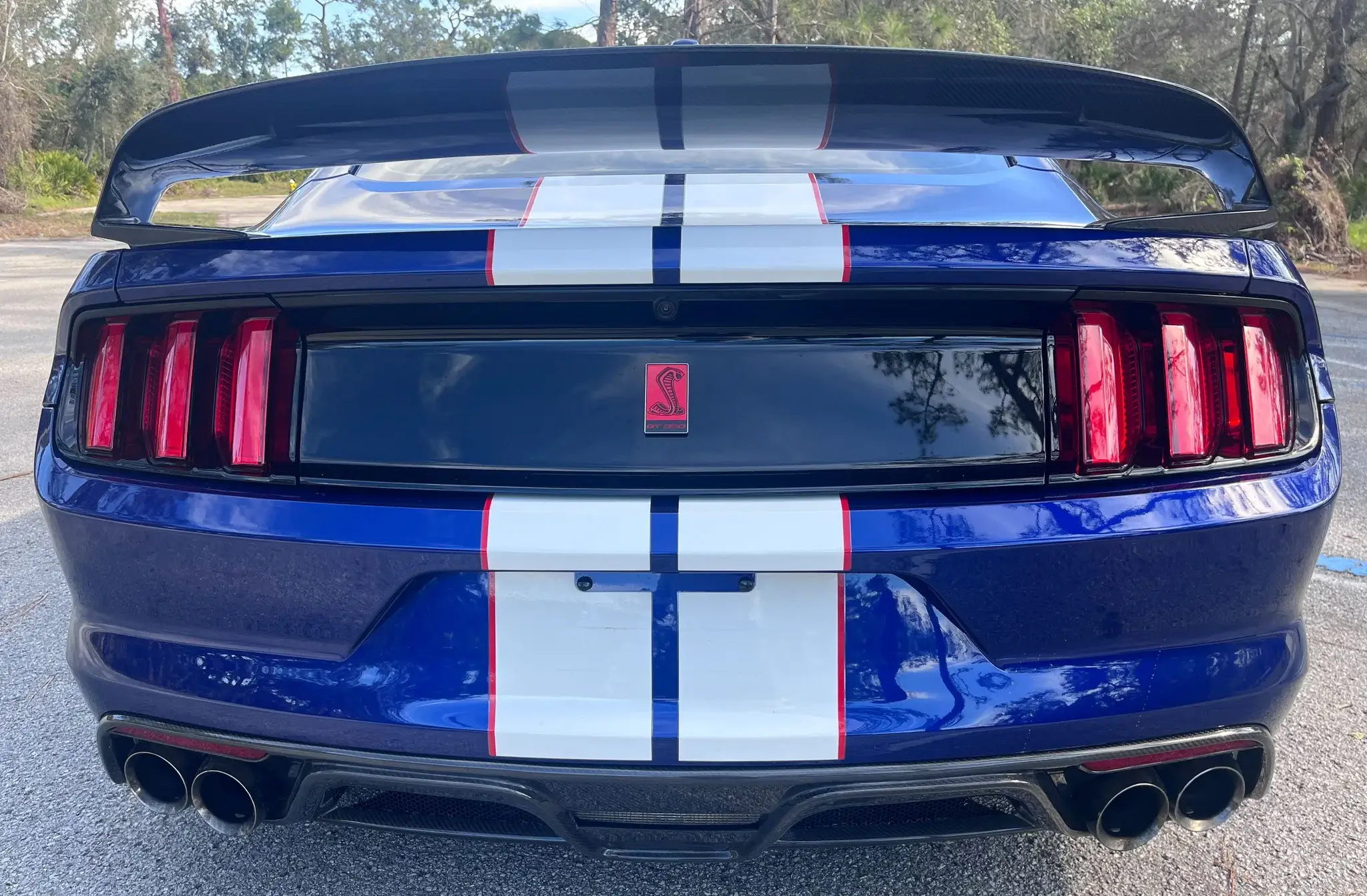 2016 Ford Mustang Shelby GT350R - Image 30