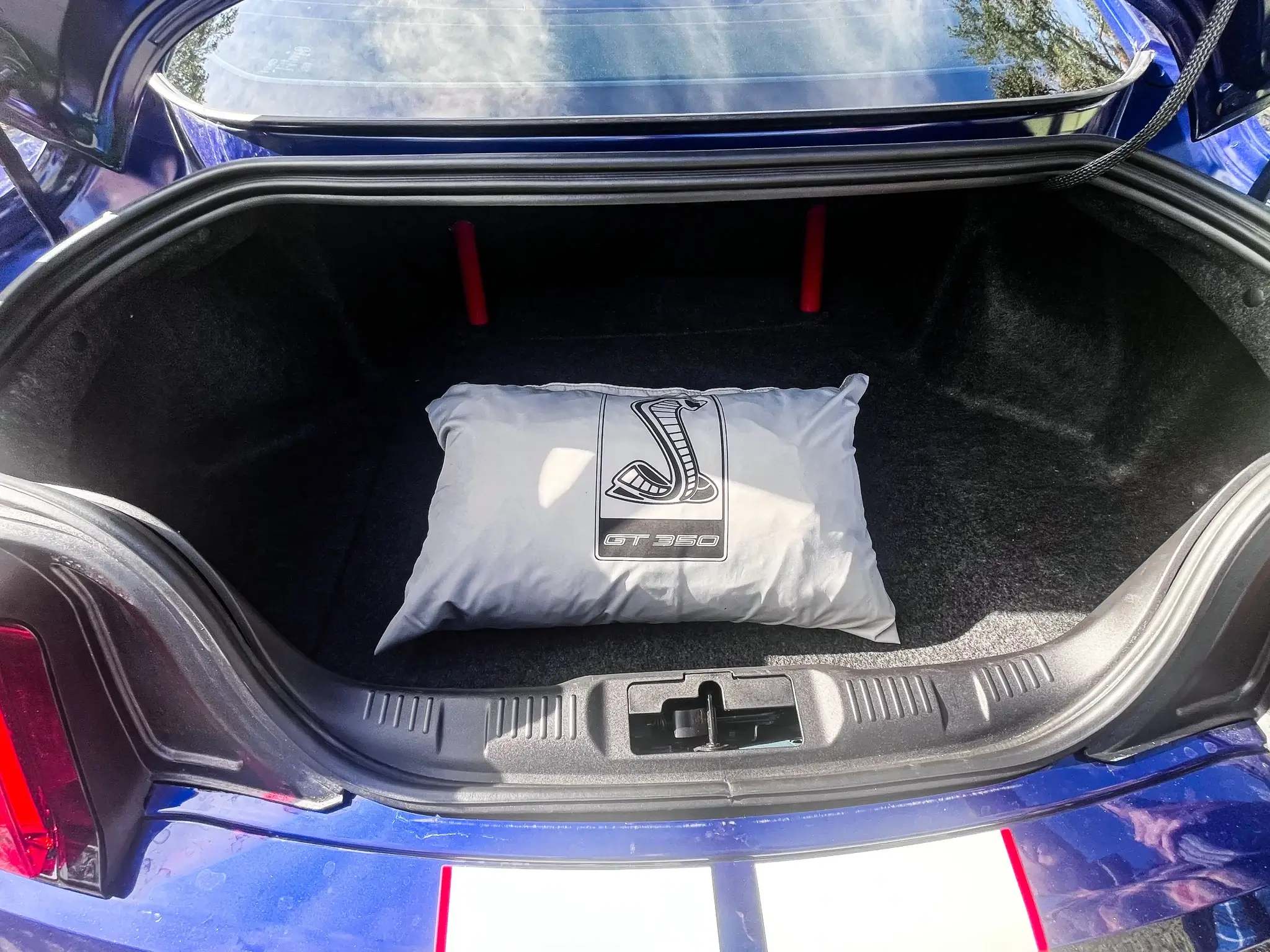 2016 Ford Mustang Shelby GT350R - Image 24