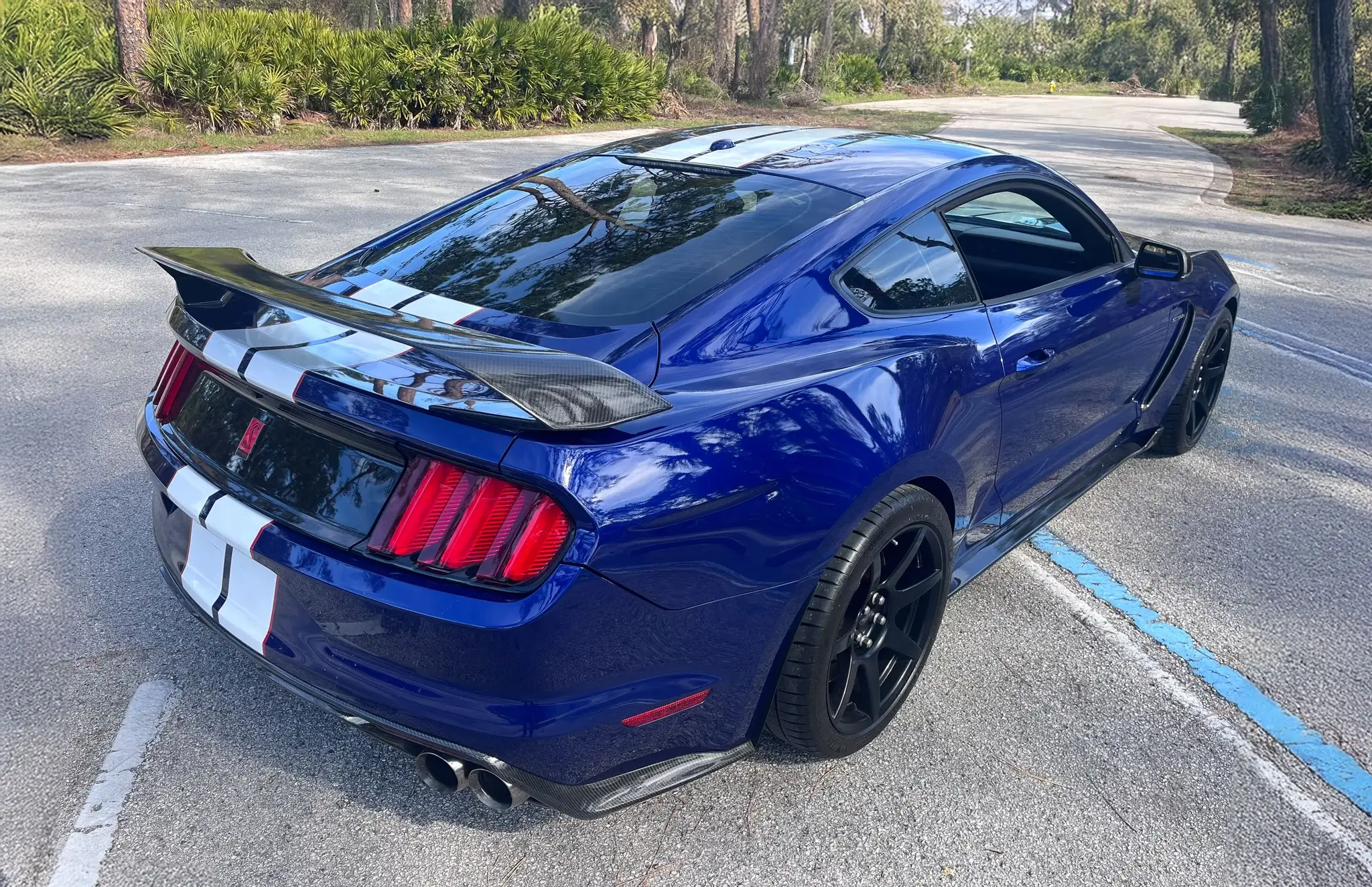 2016 Ford Mustang Shelby GT350R - Image 31