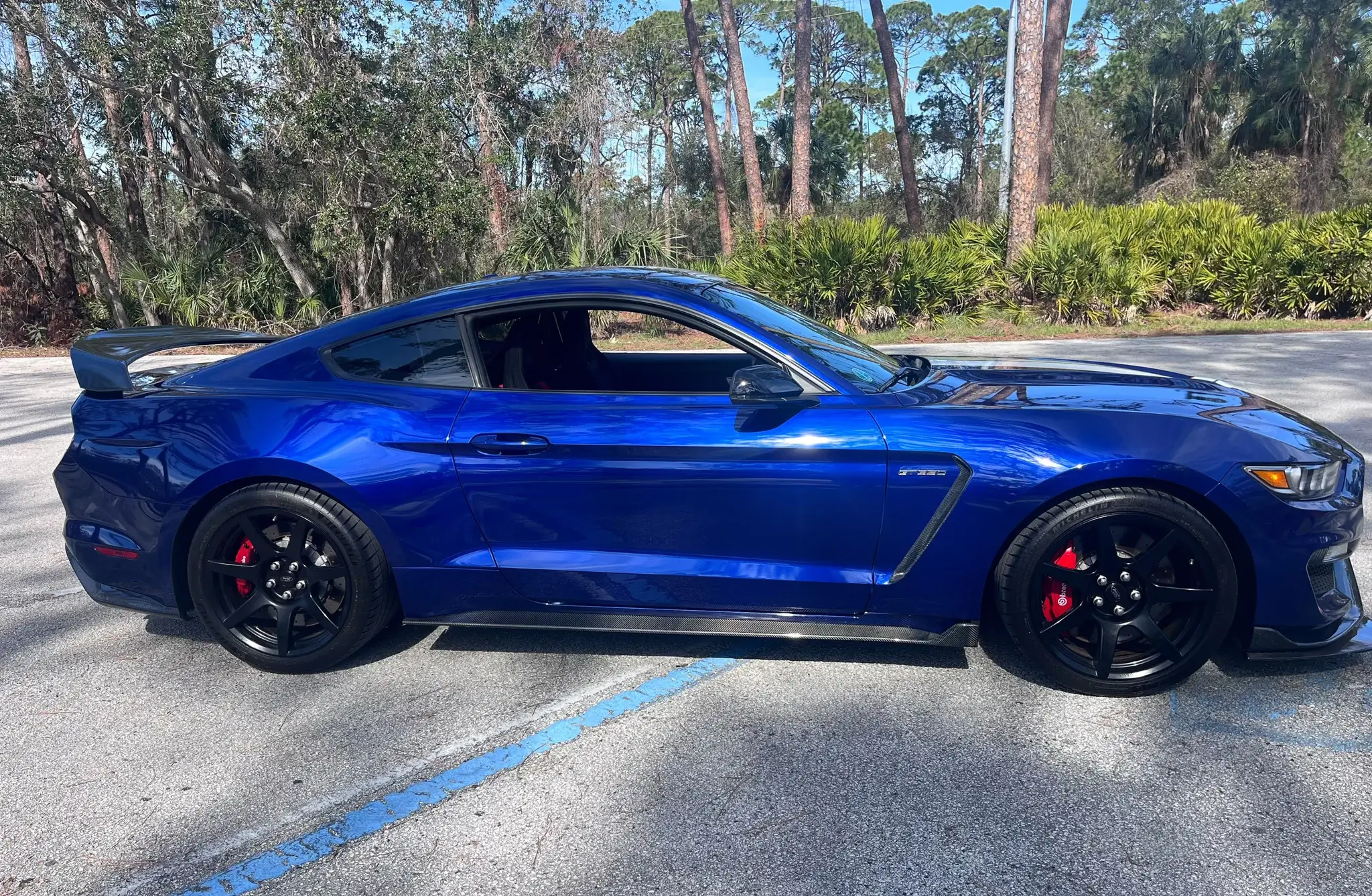 2016 Ford Mustang Shelby GT350R - Image 32
