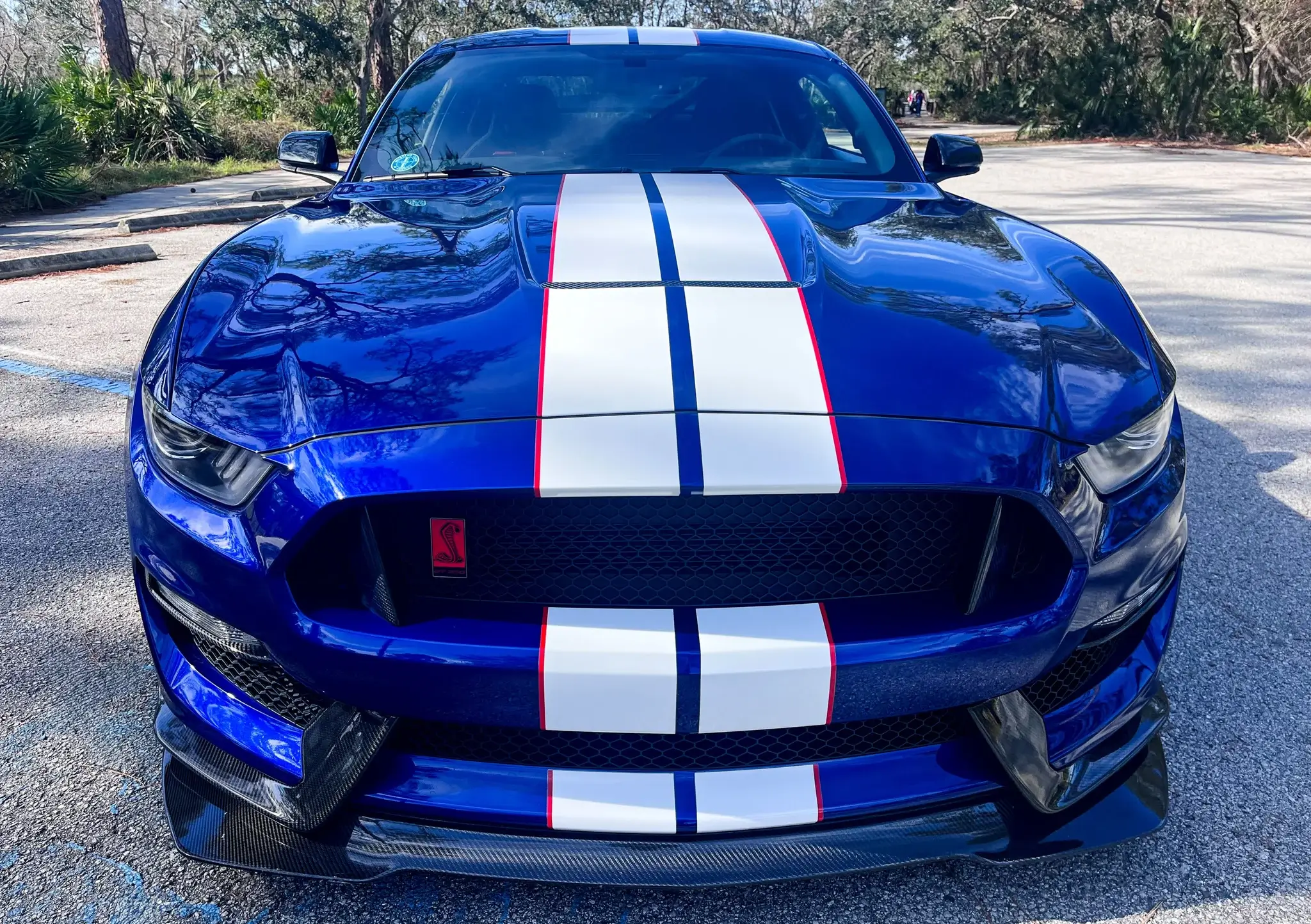 2016 Ford Mustang Shelby GT350R - Image 34